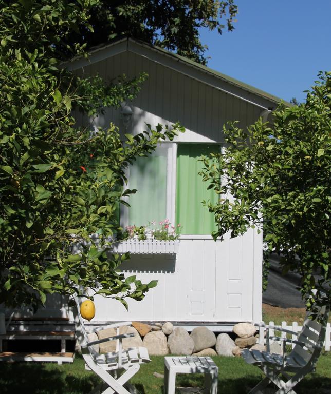 Defne Pension Çıralı Habitación foto